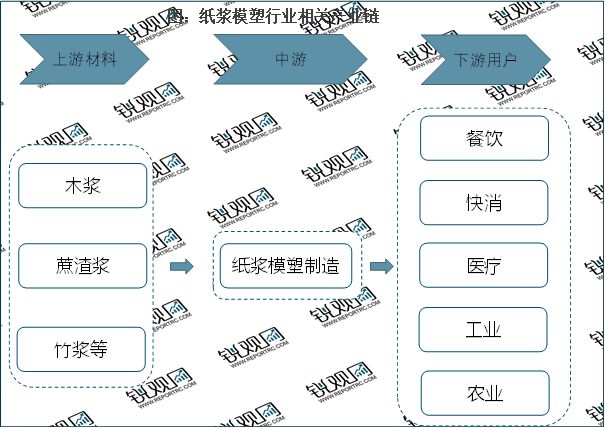 华体会登录手机版2023纸浆模塑行业分析：一次性餐具是行业重要发展赛道(图2)