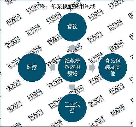华体会登录手机版2023纸浆模塑行业分析：一次性餐具是行业重要发展赛道